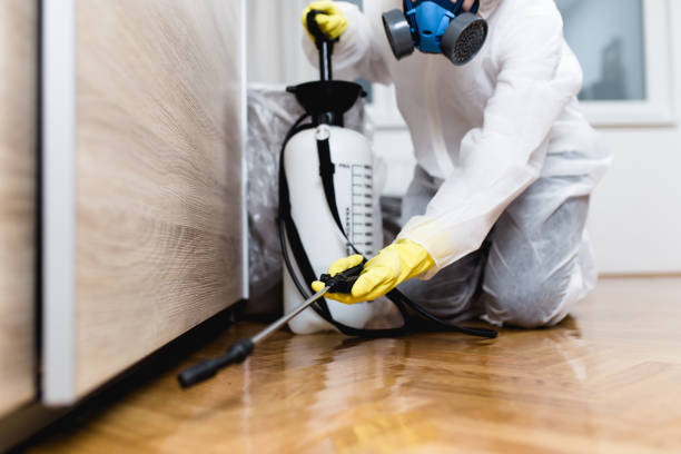 Best Pest Removal Services  in Woodbury, NJ