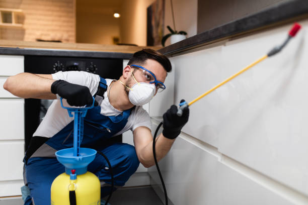 Best Wildlife Control Services  in Woodbury, NJ