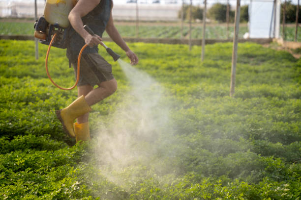 Best Pest Prevention Services  in Woodbury, NJ
