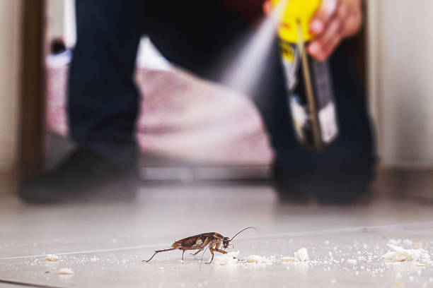 Trusted Woodbury, NJ Pest Control Experts