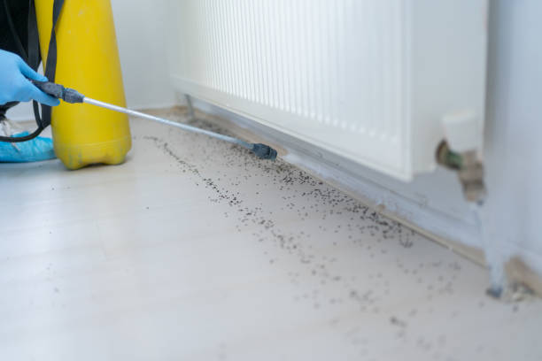 Best Pest Removal Services  in Woodbury, NJ