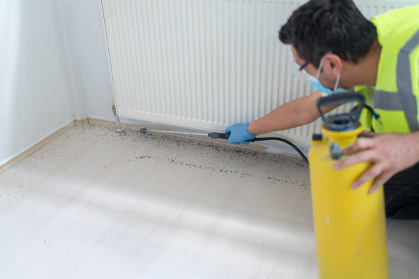 Best Bed Bug Extermination  in Woodbury, NJ